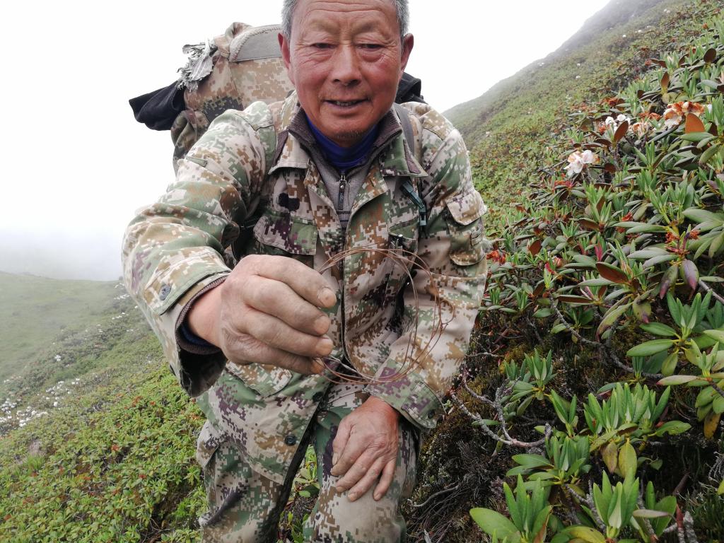 这些“最美工作照”背后，有你不知道的故事