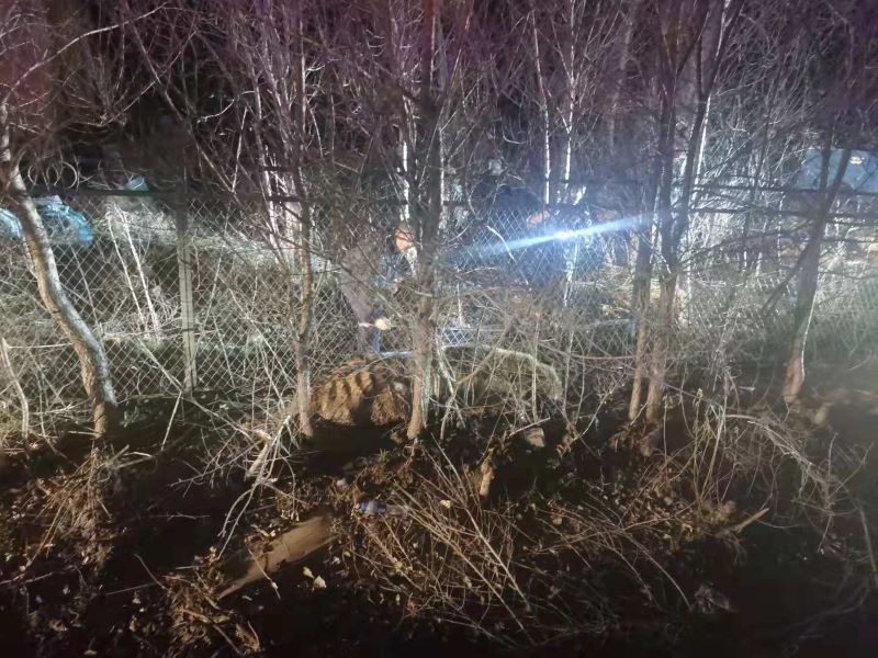 专家揭秘如何制服“进村猛虎”