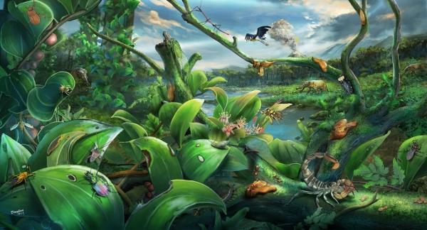 中外科学家“解锁”1500万年前热带雨林“宝石库”