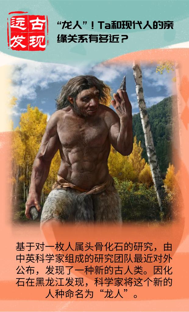 中英科学家对外公布发现了一种新的古人类“龙人”