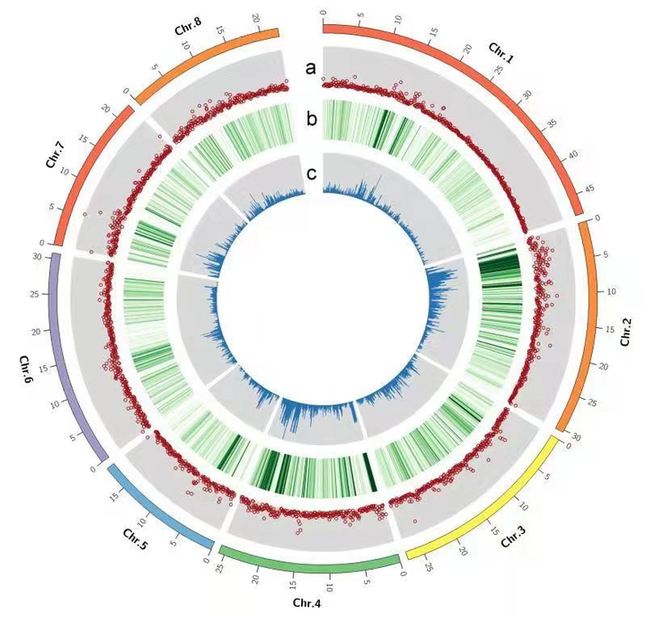 化学农药危害土壤？除草剂甲基二磺隆未必如此