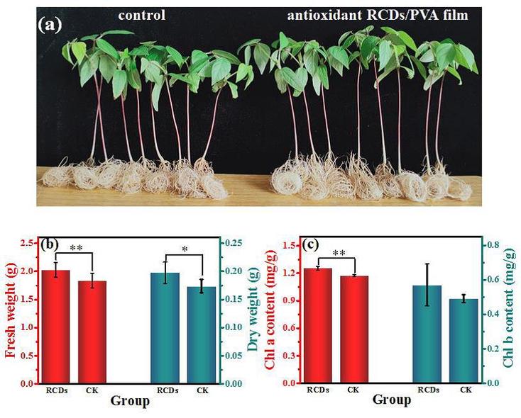 我科学家研制可调节光效的蔬菜大棚