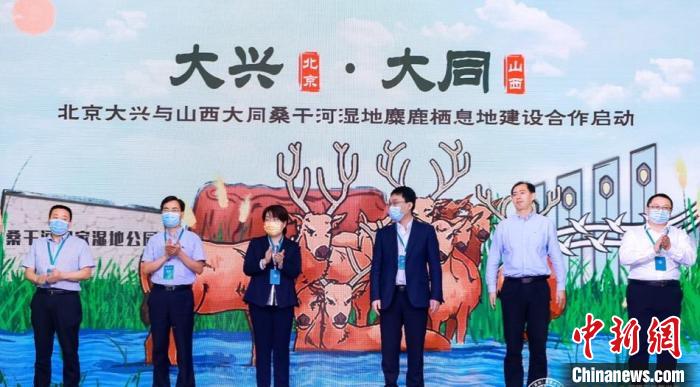 北京（国际）麋鹿文化大会开幕 种群栖息地持续扩大
