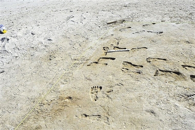 北美最早人类脚印距今约2.3万年