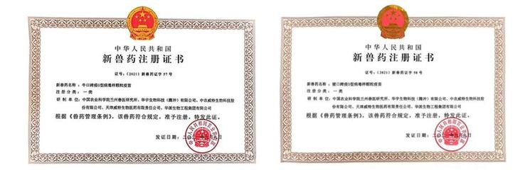 猪、牛口蹄疫如何防治？国家一类新兽药来了