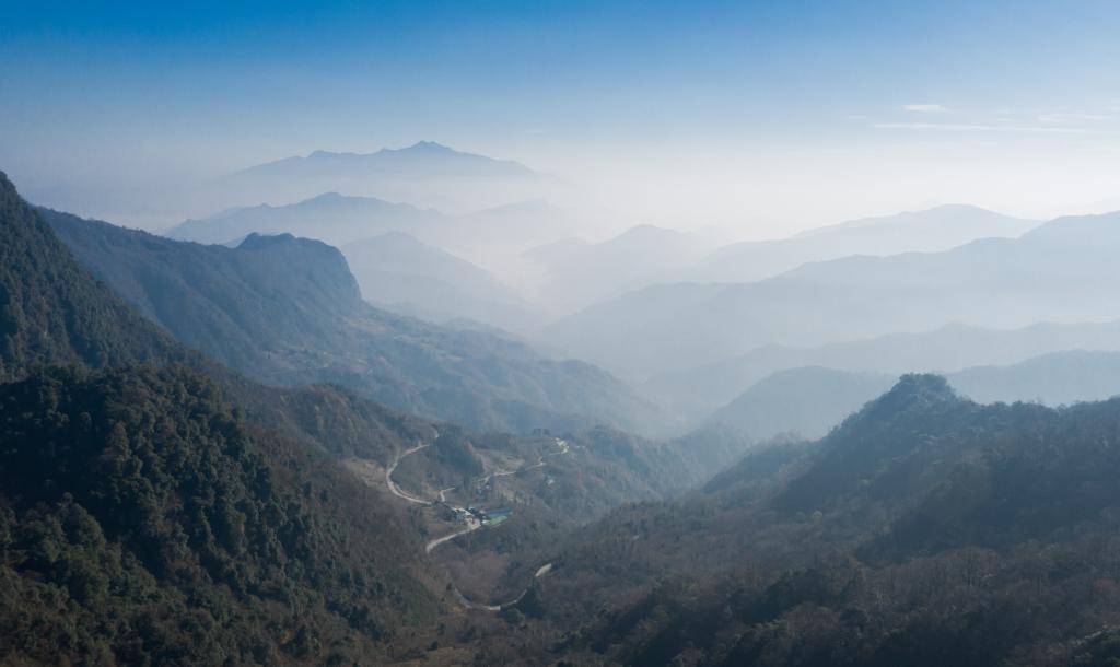 大熊猫保护惠及保护区内其他野生动植物