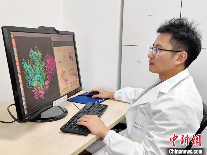 张余研究员在分析蛋白结构 中国科学院分子植物科学卓越创新中心 供图