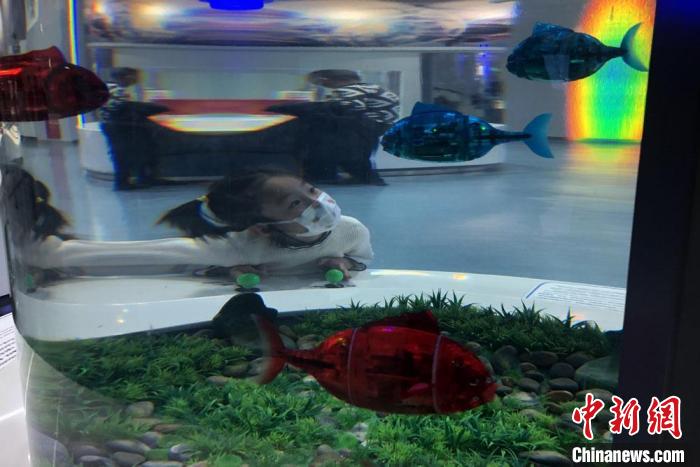 中国科技馆“智能”展厅携多款机器人亮相，儿童观众仔细观赏机器鱼演示。　<a target=&apos;_blank&apos; href=&apos;/&apos;><p align=
