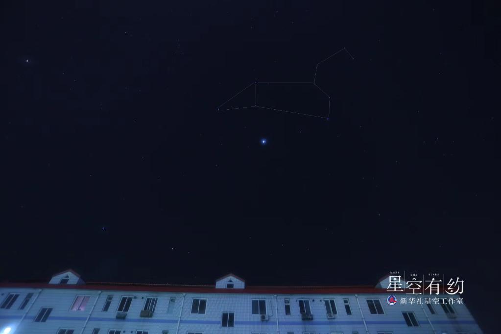 “专访”春季星空“一哥”——狮子座