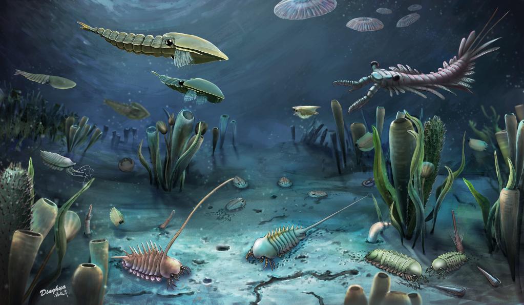 远古发现丨科学家发现5亿年前“临沂动物群”