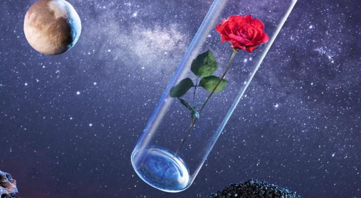 太空玫瑰”数字藏品发布，航天科技解锁“元宇宙”新玩法_光明网