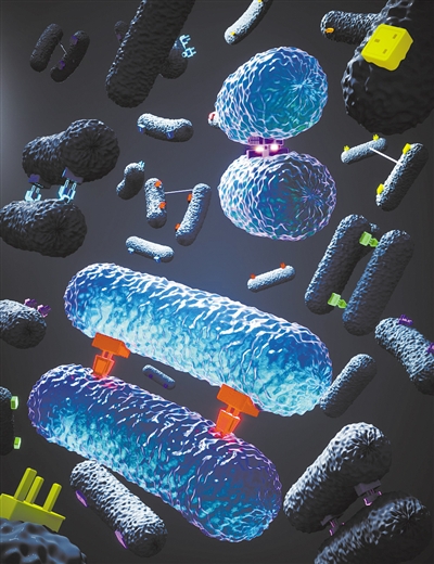 细菌“亲密行为”或解释抗生素耐药性成因