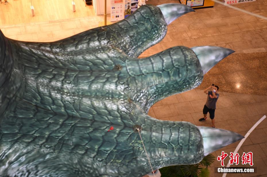 巨型“恐龙腿”亮相昆明一商场