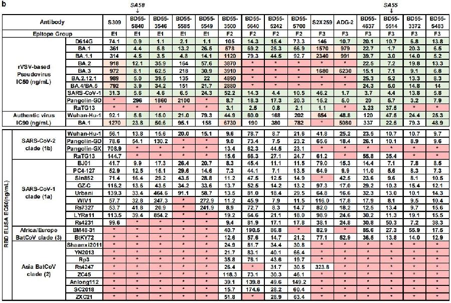 最新研究：在接种三剂新冠疫苗的SARS康复者中获得强效的广谱中和抗体