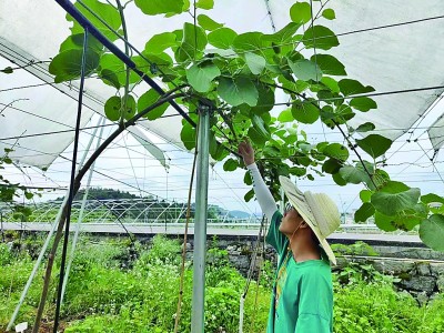 听，青春在“科技小院”里拔节生长
