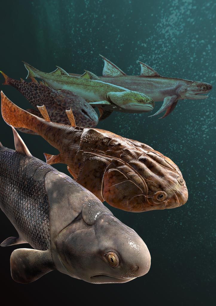 4.4亿年前鱼类化石揭示有颌脊椎动物的崛起
