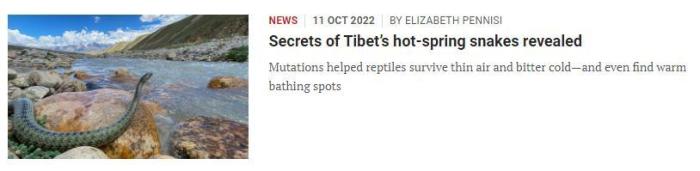 中国科研人员揭秘神奇温泉蛇：与青藏高原的形成和隆起有密切联系