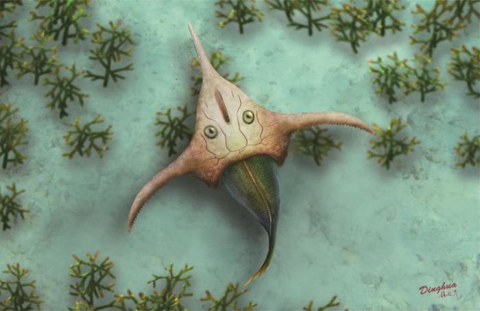 中科院团队30年接力研究 完整呈现4.1亿年前玉海翼角鱼全貌