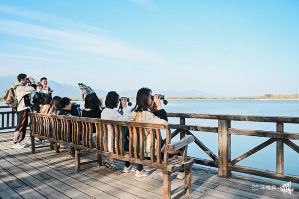 多地迎来“观鸟”黄金期