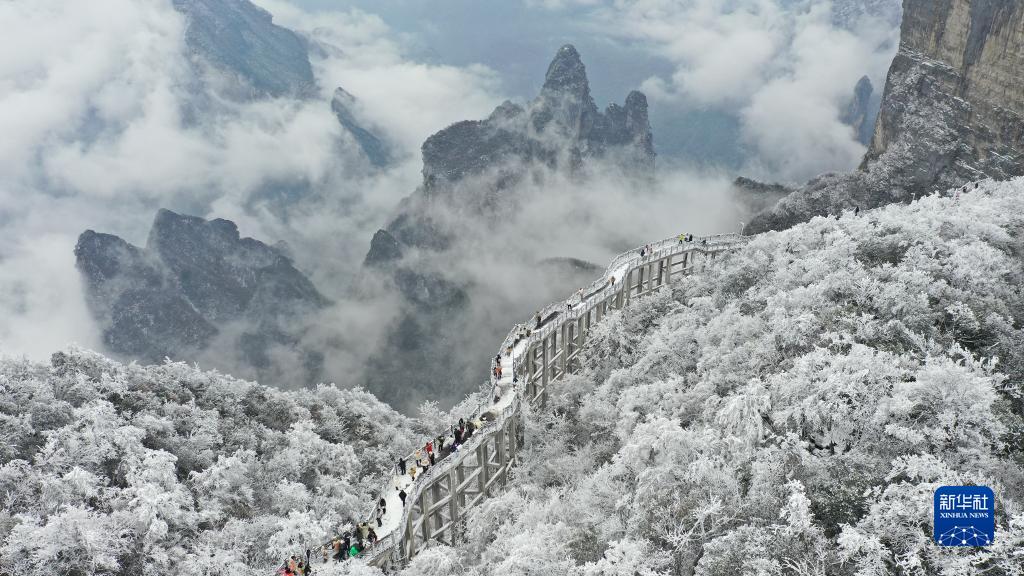 诗意中国——吹落琼花满世间