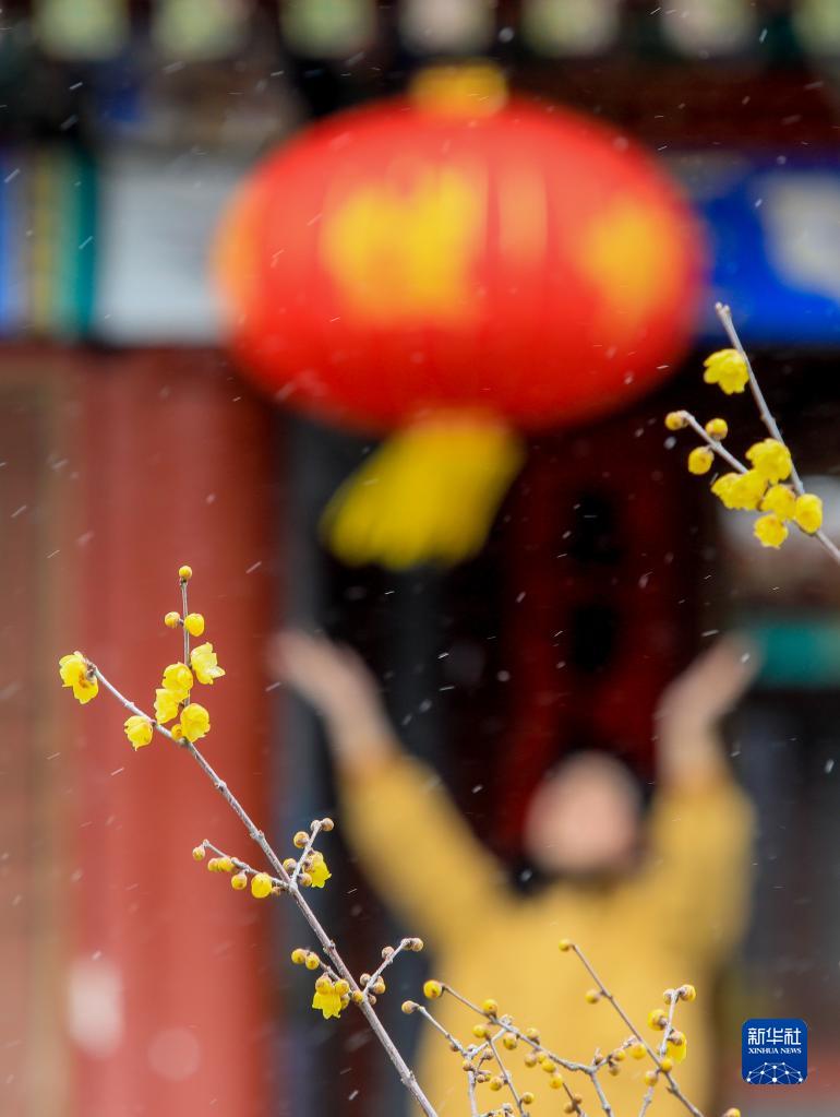 诗意中国——吹落琼花满世间