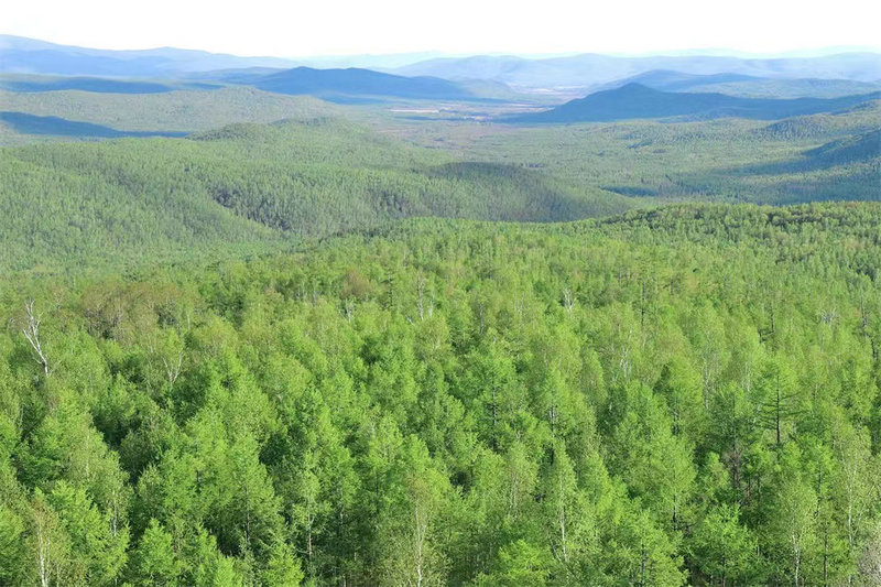 我热爱的黑土地