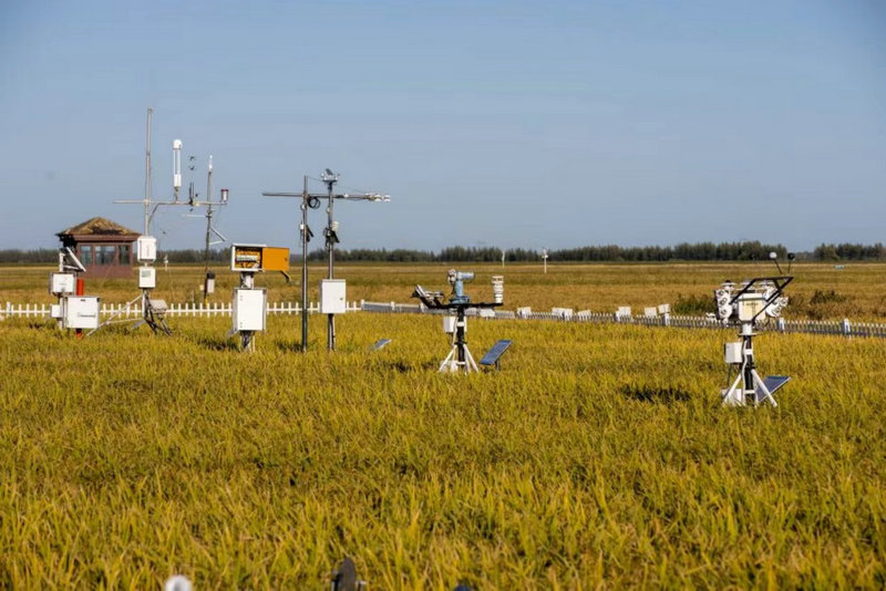 我热爱的黑土地