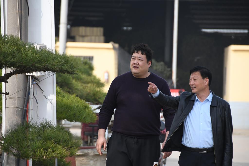 农业经纪人、市场分析员、植物造型师……秦岭村庄有了这些新职业