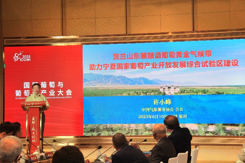 宁夏葡萄酒产业如何发展？气象服务协会支招！