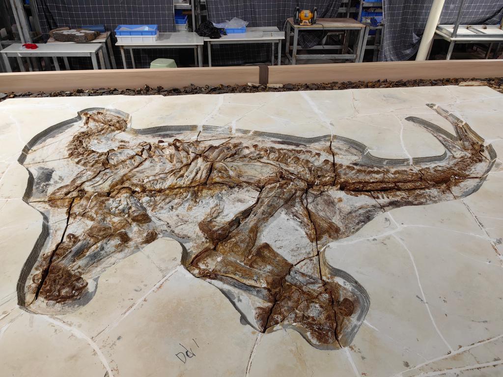 1.3亿多年前的恐龙皮肤化石长什么样？