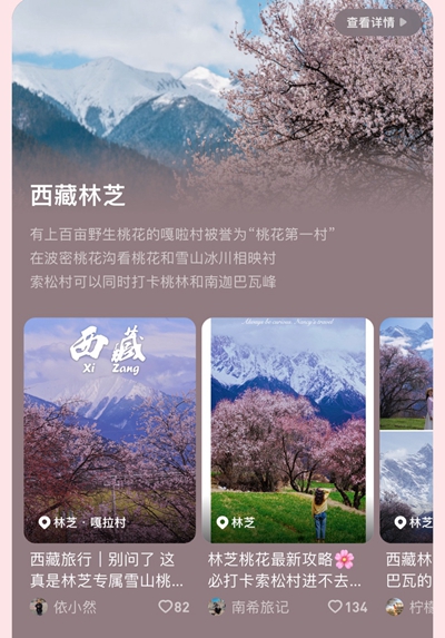 2024，全球赏花地图攻略来了！