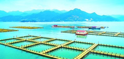 耕山牧海有“粮”策 耕山牧海有“粮”策