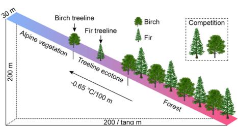 科学家发现变暖加速了喜马拉雅山高山树线向高海拔扩张