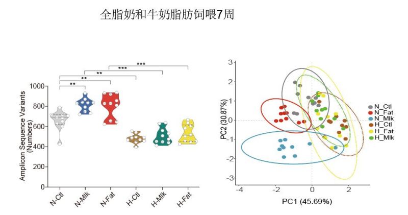 科学家新发现！全脂牛奶不增加血脂负担，反而有益健康？