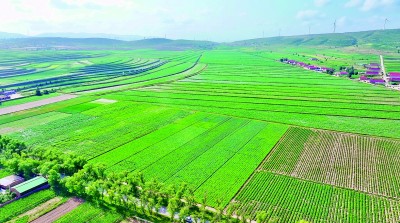 走，把科技成果“种”到田间地头