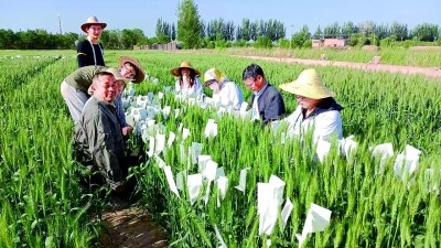 走，把科技成果“种”到田间地头