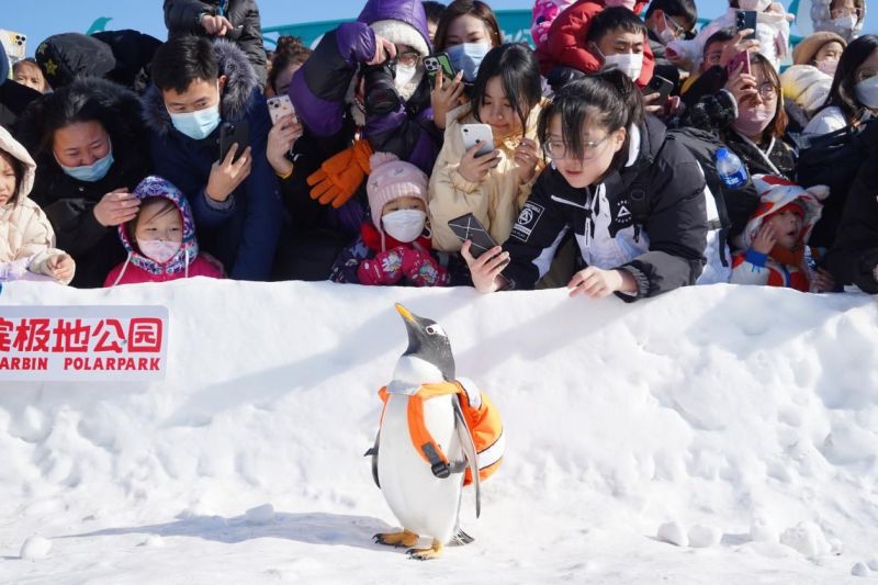 冰雪经济新活力！经典游戏IP与哈尔滨文旅联动引爆“冰雪冒险季”