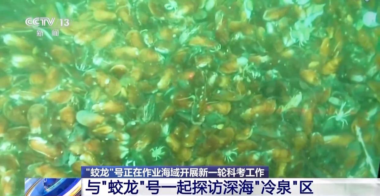 “蛟龙”号国产化升级 下潜1500米探访深海“冷泉”→