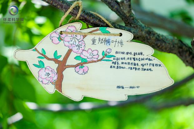 “共享未来”公众科学日在怀柔科学城举办