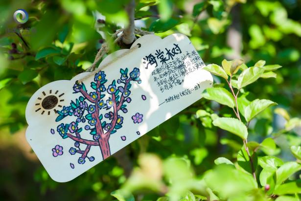 “共享未来”公众科学日在怀柔科学城举办