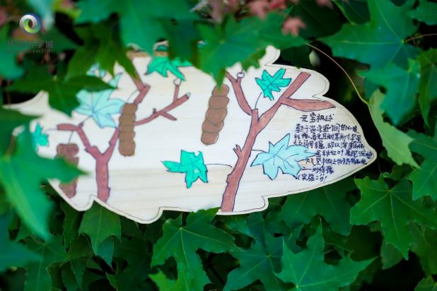 “共享未来”公众科学日在怀柔科学城举办