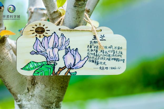 “共享未来”公众科学日在怀柔科学城举办