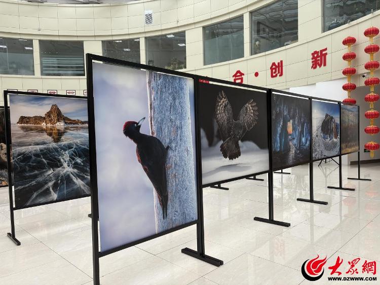 青铜史诗鸣草原 中俄文化共交响——中俄地方文化艺术交流系列活动今日启幕