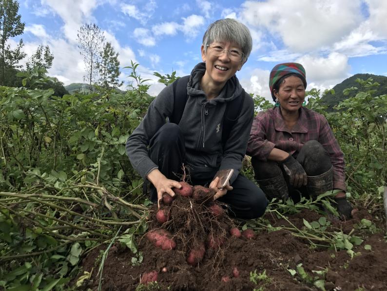 扎根农村 助农惠农——致敬全国农业科技工作者