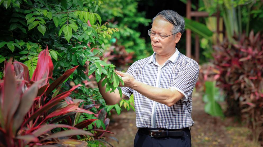 扎根农村 助农惠农——致敬全国农业科技工作者