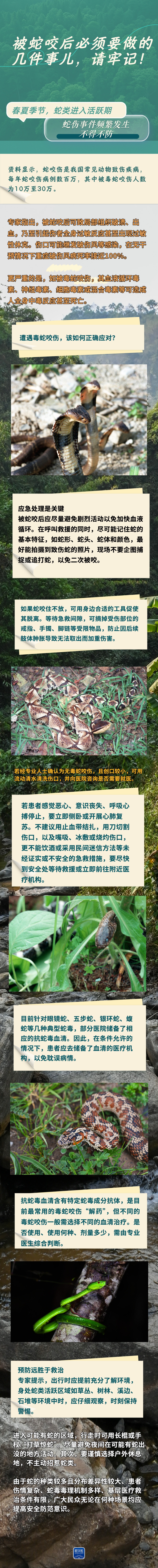 被蛇咬后必须要做的几件事儿，请牢记！