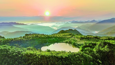 百山祖国家公园：“这是一个动植物乐园”