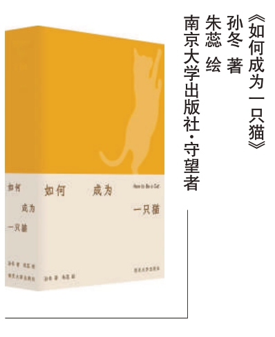 透过猫的眼睛去理解这个世界