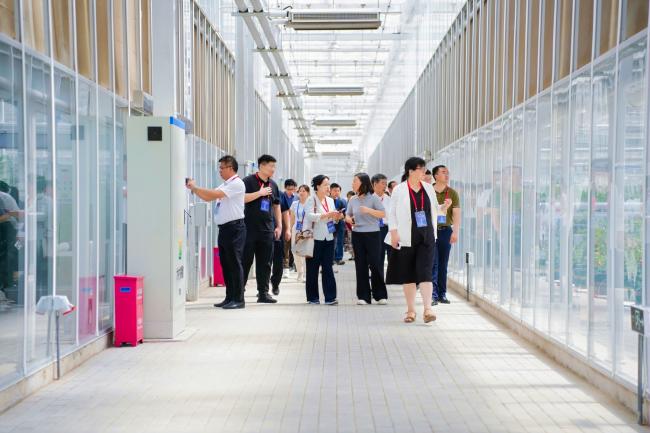 人工智能赋能种业振兴 政产学研共绘智慧农业新蓝图