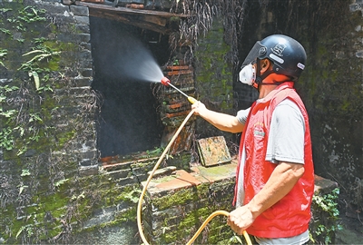 基孔肯雅热，怎么防如何治？（大健康观察）